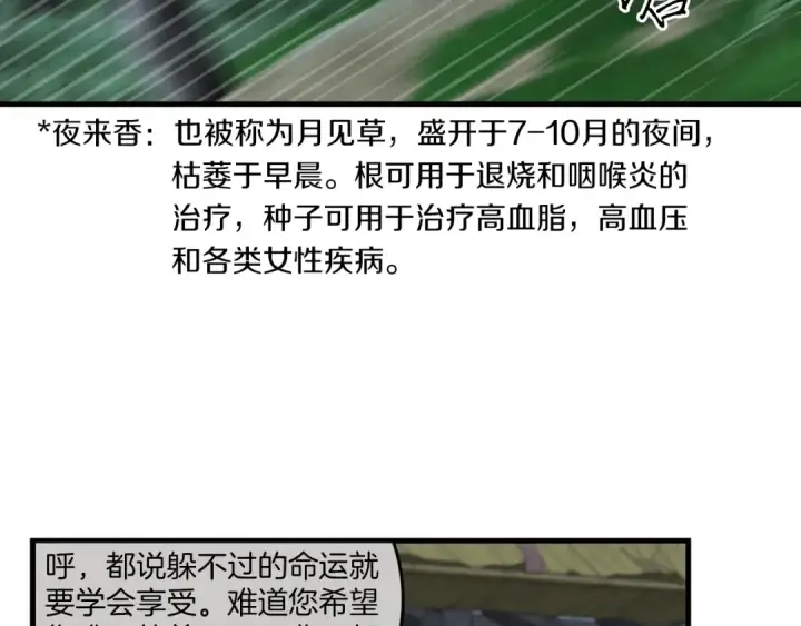 《飞雷刀》第50话 我的徒弟失败了图147