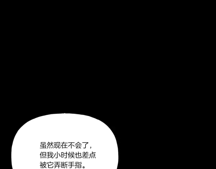 《飞雷刀》第115话 战略计划图37