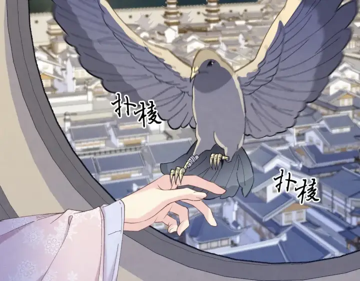 《飞雷刀》第144话 布谷鸟图170