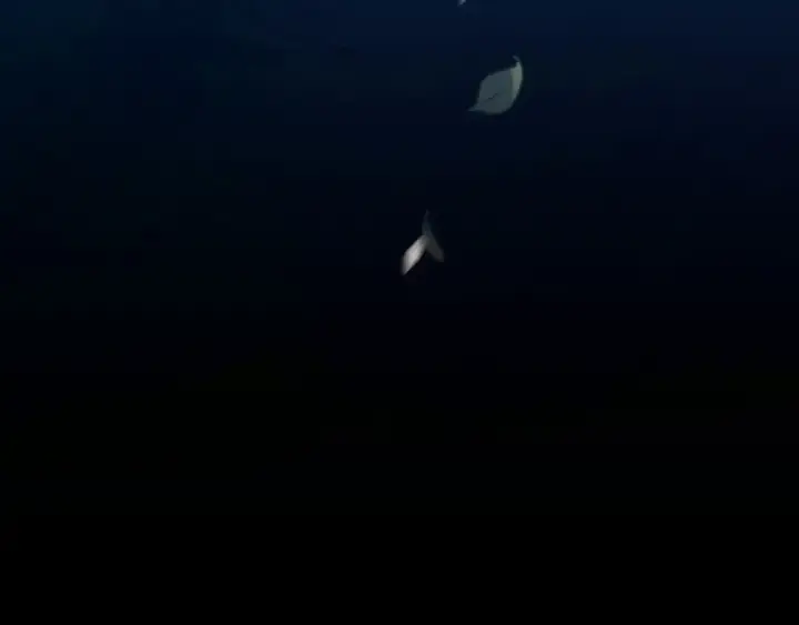《飞雷刀》第178话 天劫图318