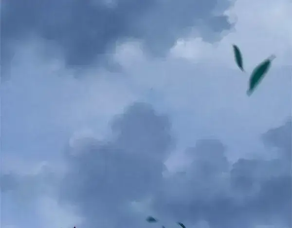《飞雷刀》第184话 情况反转图206