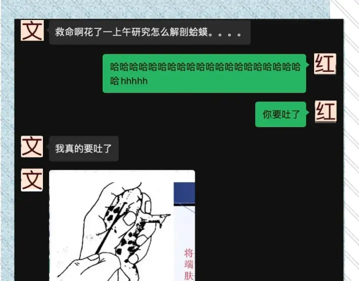 《告白》告白路透社！图13
