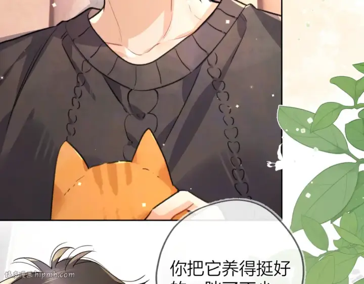 《告白》第四十八话 你们俩的猫图24
