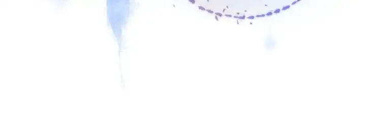 《告白》第一百话 告别图93