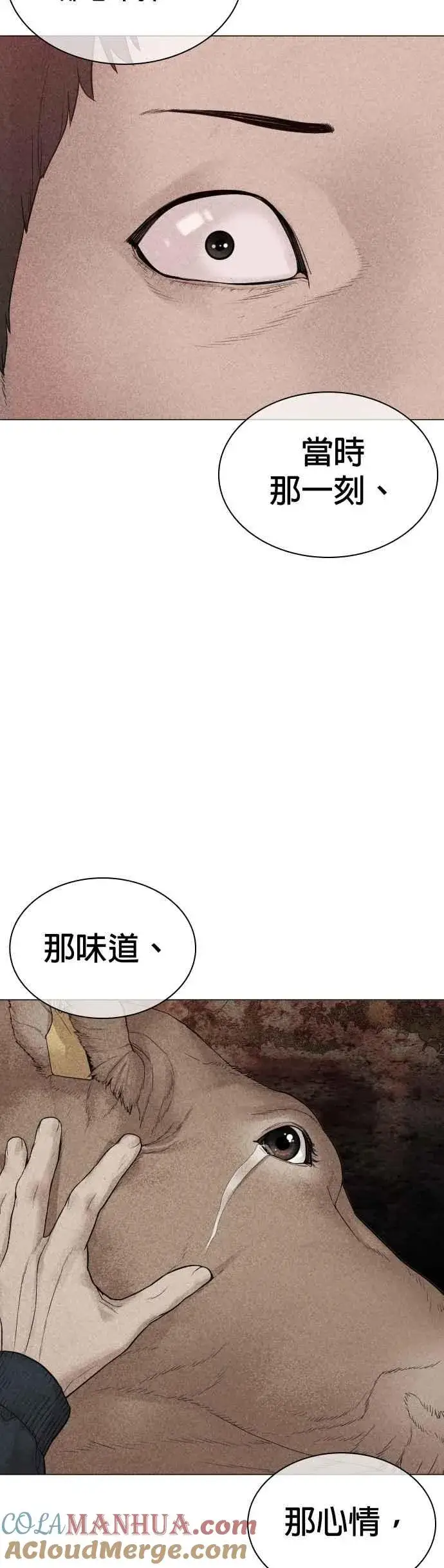 漫画《格斗实况》第156话 禁止气馁！第31张图