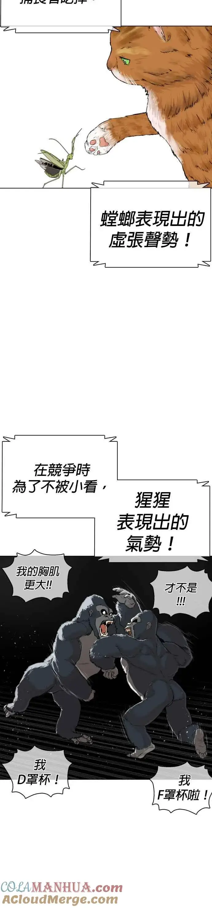 漫画《格斗实况》第23话 恐惧的法则第7张图