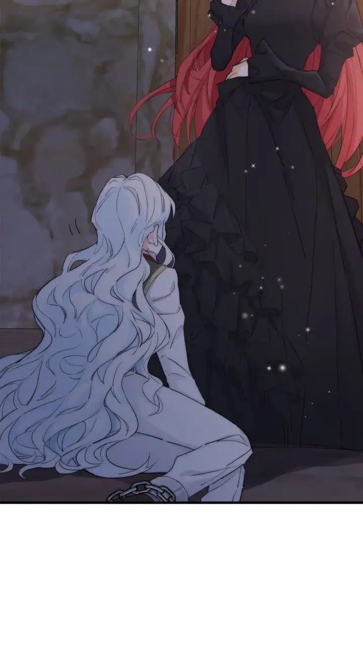 《公爵家的毒之花》004 魔女血脉图12
