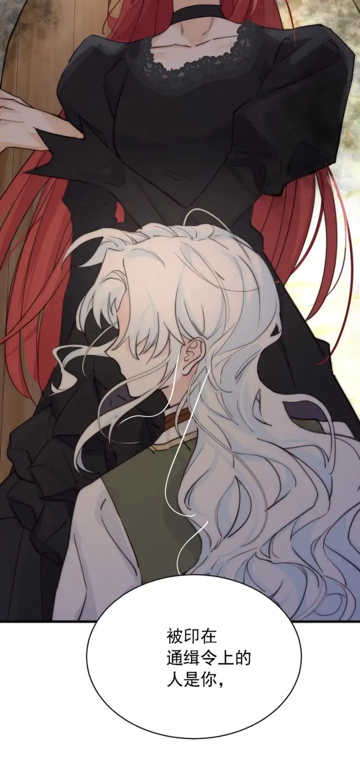 《公爵家的毒之花》004 魔女血脉图24