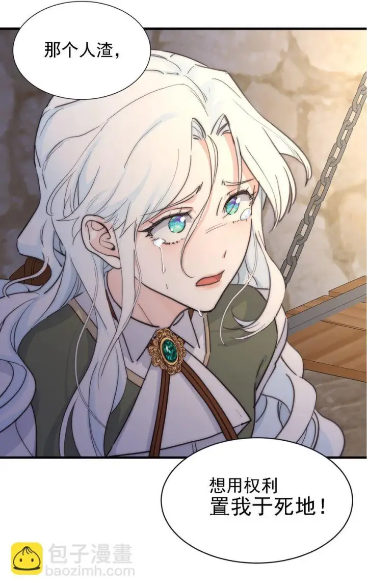 《公爵家的毒之花》004 魔女血脉图28