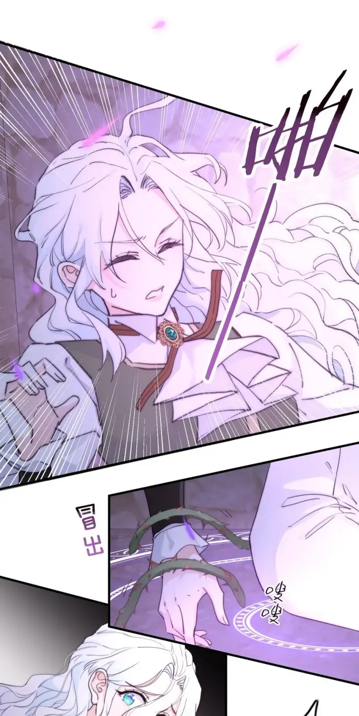 《公爵家的毒之花》004 魔女血脉图43