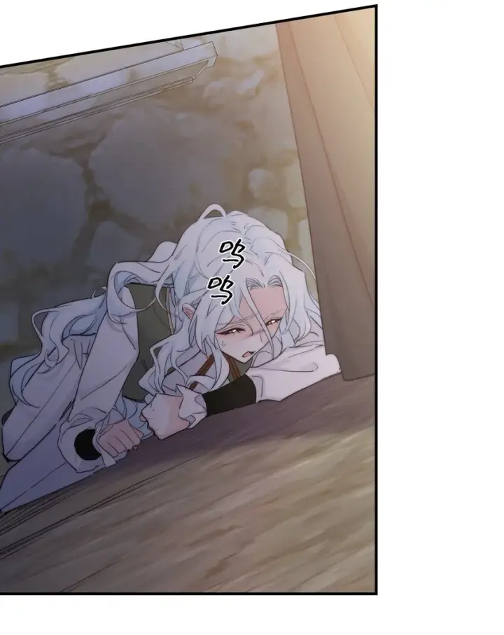 《公爵家的毒之花》004 魔女血脉图9