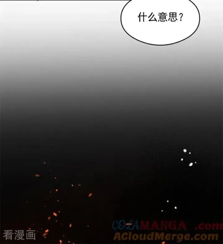 《公爵家的毒之花》第17话 魔女图41