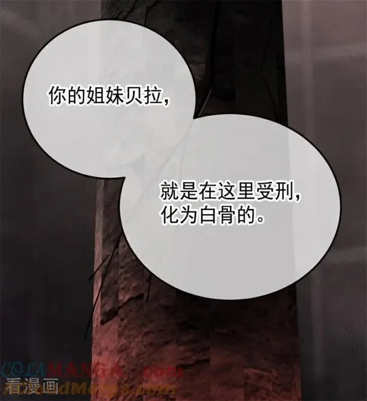 《公爵家的毒之花》第28话 以命为赌图105