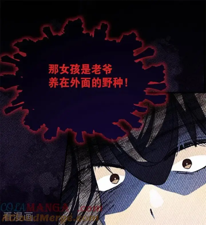 《公爵家的毒之花》第37话 一生的决定图69
