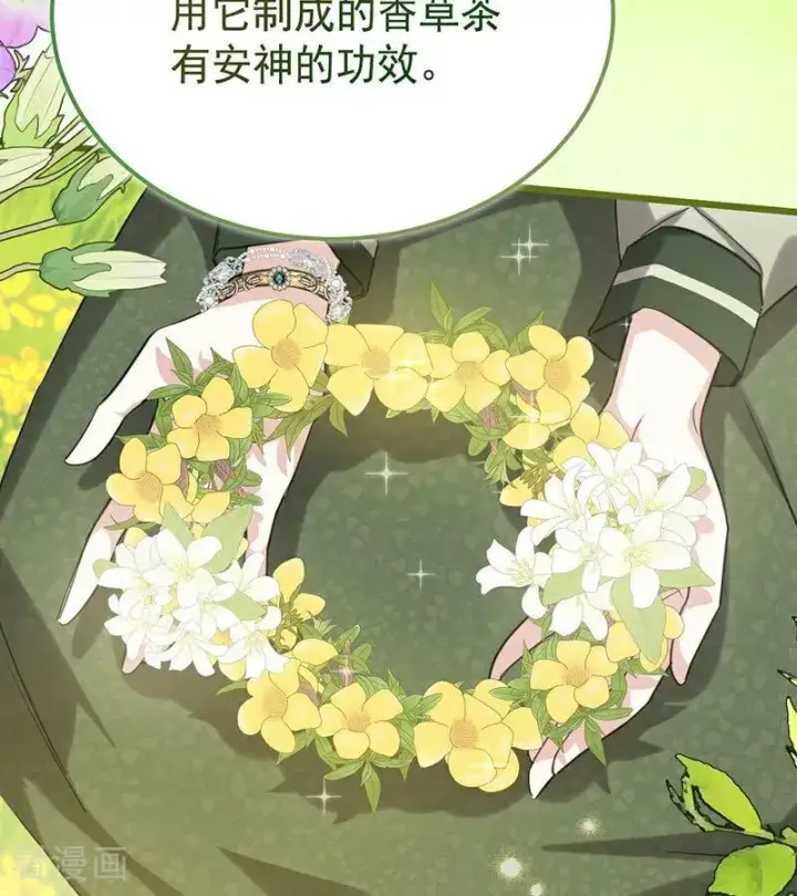 《公爵家的毒之花》第38话 礼物图27
