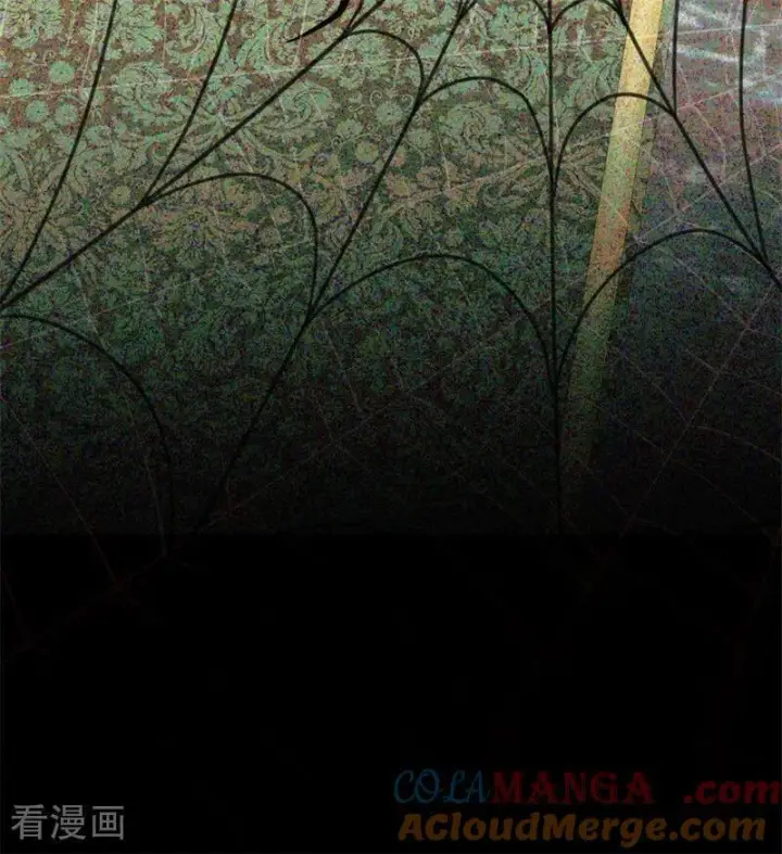 《公爵家的毒之花》第41话 魔女之王图53