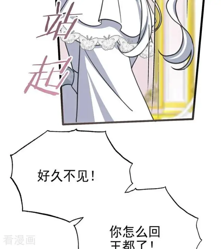 《公爵家的毒之花》第42话 宫中秘闻图26