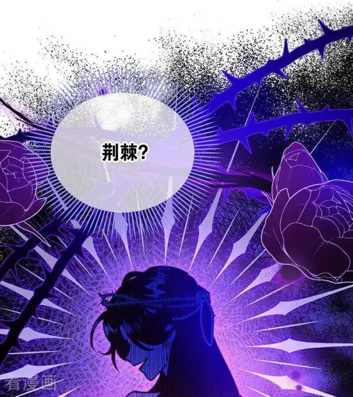 《公爵家的毒之花》第42话 宫中秘闻图84