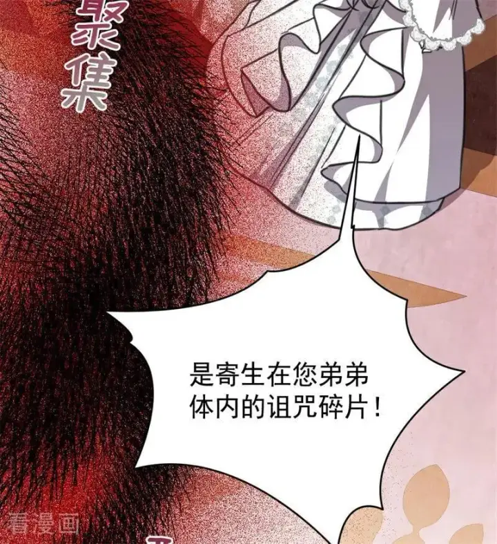 《公爵家的毒之花》第44话 诅咒之影图27