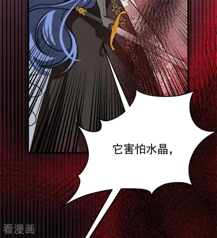 《公爵家的毒之花》第44话 诅咒之影图38