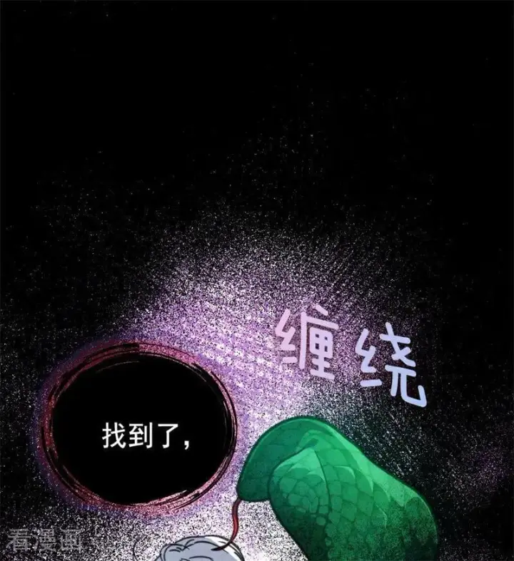 《公爵家的毒之花》第44话 诅咒之影图66