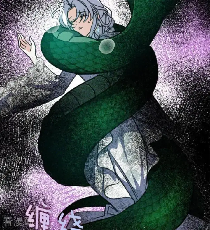 《公爵家的毒之花》第44话 诅咒之影图67