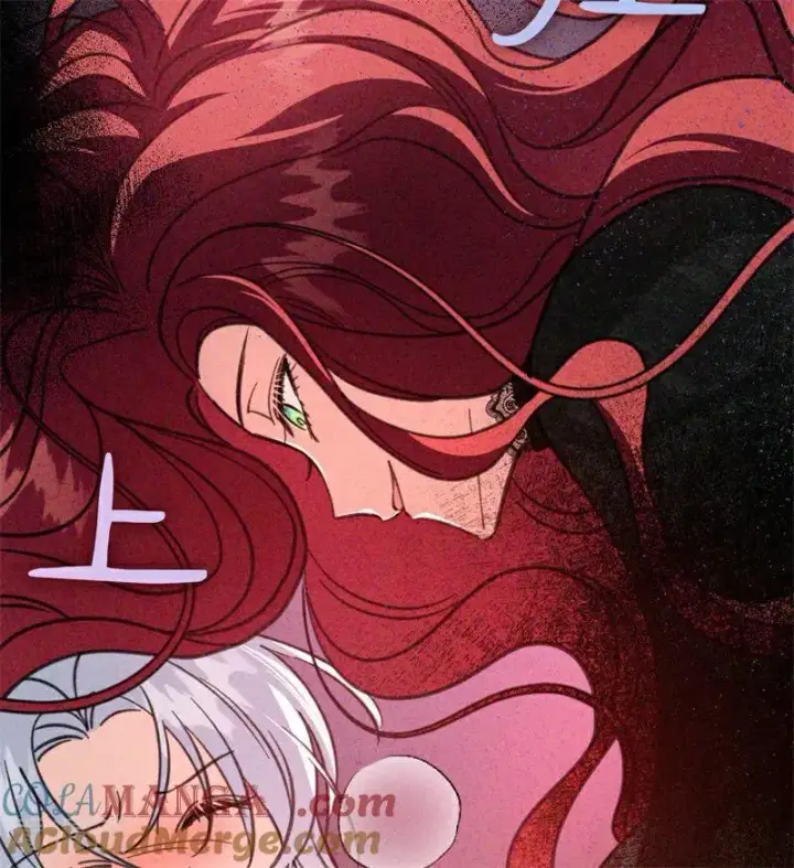 《公爵家的毒之花》第44话 诅咒之影图69