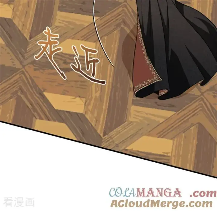 《公爵家的毒之花》第56话 撒谎图9