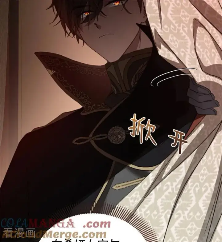《公爵家的毒之花》第57话 还有一件事图67
