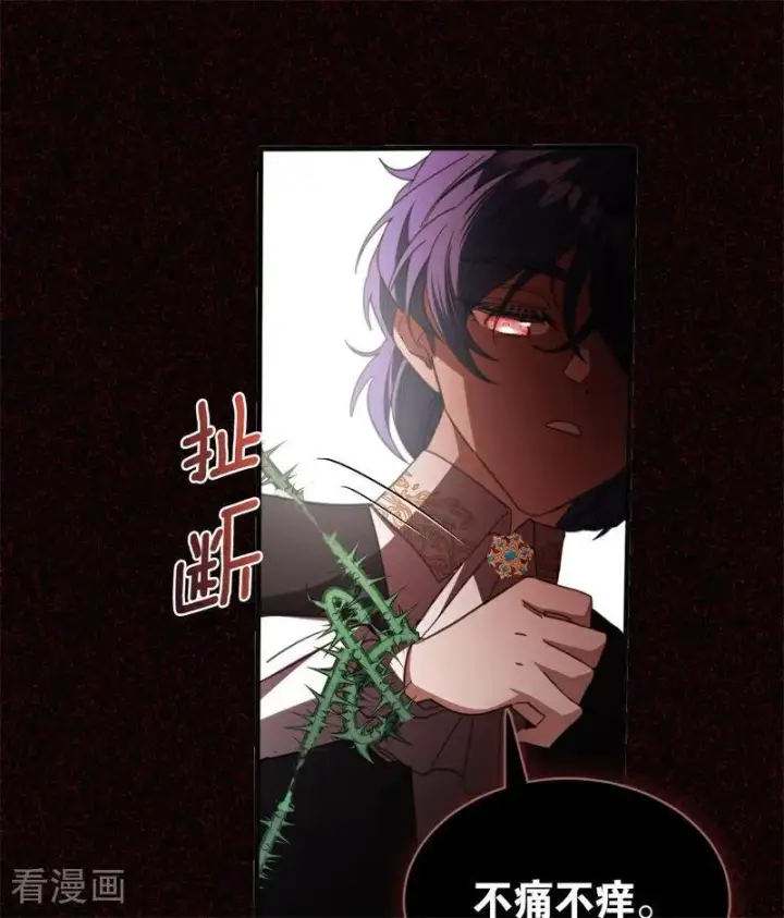 《公爵家的毒之花》第60话 阴谋图69