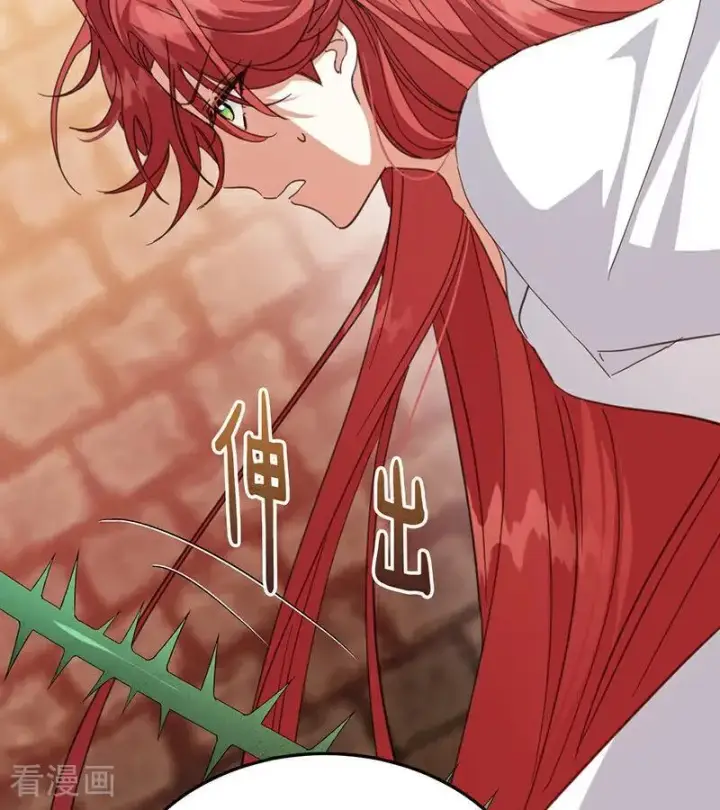 《公爵家的毒之花》第61话 出逃图53