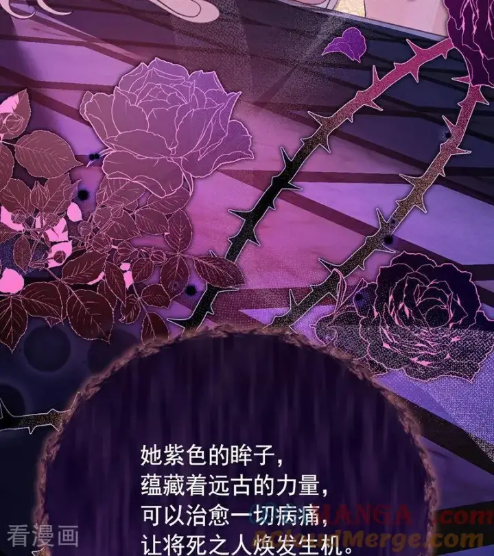 《公爵家的毒之花》第66话 真正的公主图76