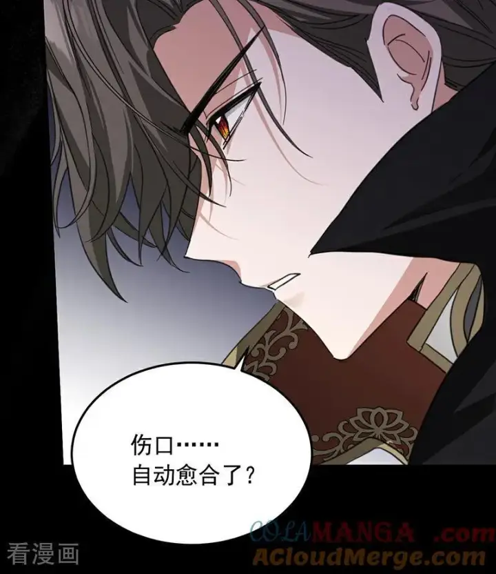 《公爵家的毒之花》第67话 召唤英灵图40