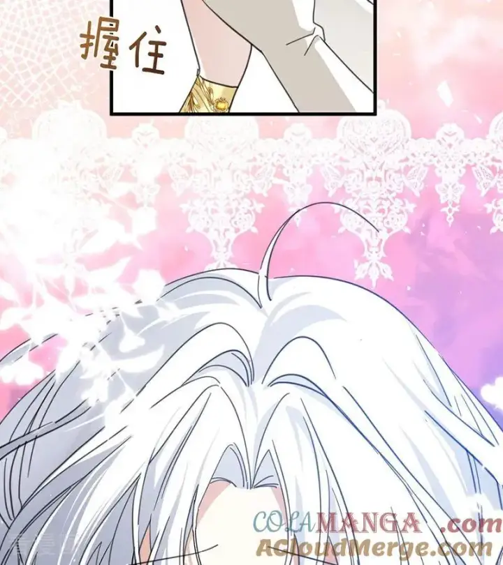 《公爵家的毒之花》第70话 承诺图76