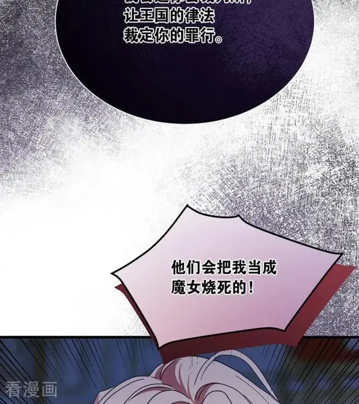 《公爵家的毒之花》第71话 罪人图30