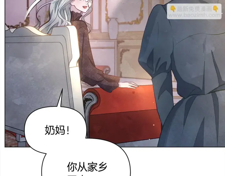《公女今日起罢工》第14话 奶妈的家人全死了？图73