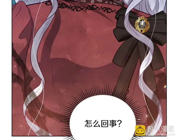 《公女今日起罢工》第58话 雪山上的神秘人影图3