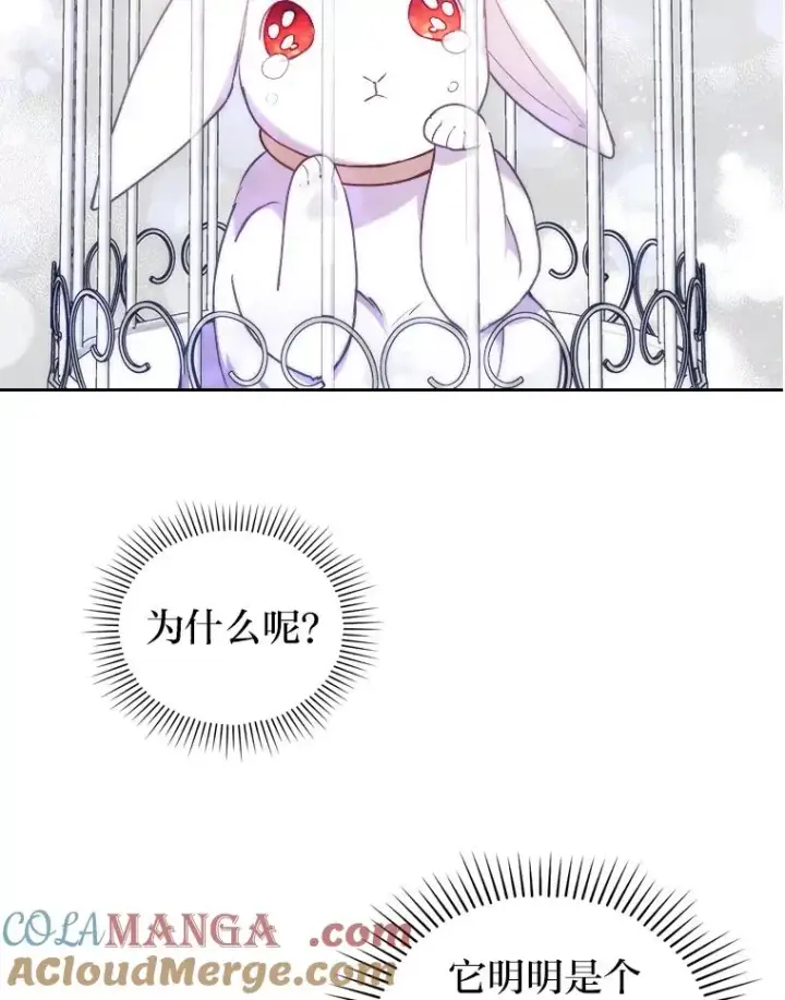 《勾引了病弱男主》19.重伤的卡西斯图13