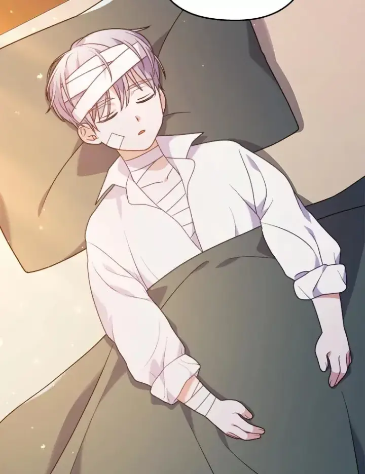 《勾引了病弱男主》19.重伤的卡西斯图46