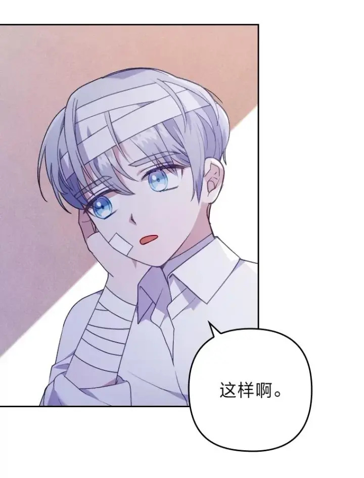《勾引了病弱男主》19.重伤的卡西斯图83