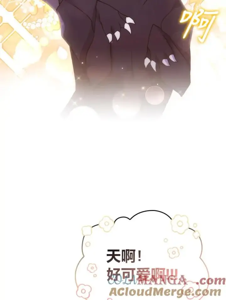 《勾引了病弱男主》25.豆豆破壳图58
