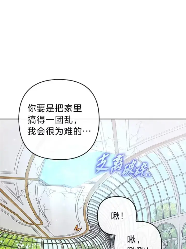 《勾引了病弱男主》25.豆豆破壳图65