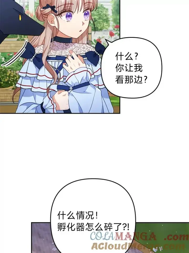 《勾引了病弱男主》25.豆豆破壳图73