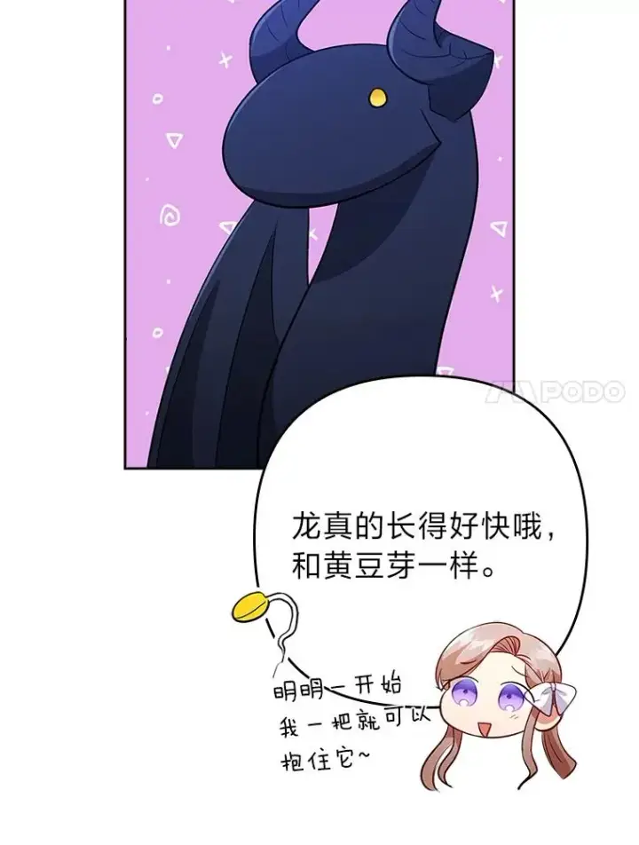 《勾引了病弱男主》41.爱龙狂粉图42