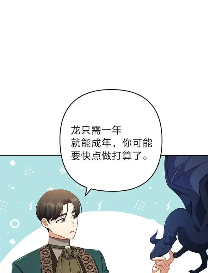 《勾引了病弱男主》41.爱龙狂粉图43