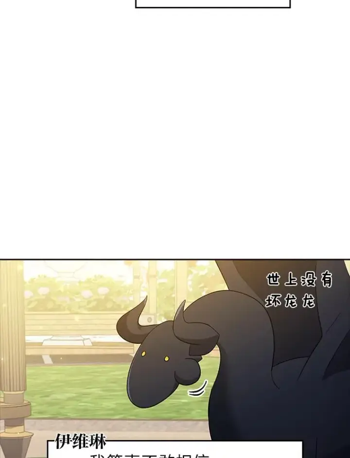 《勾引了病弱男主》41.爱龙狂粉图74