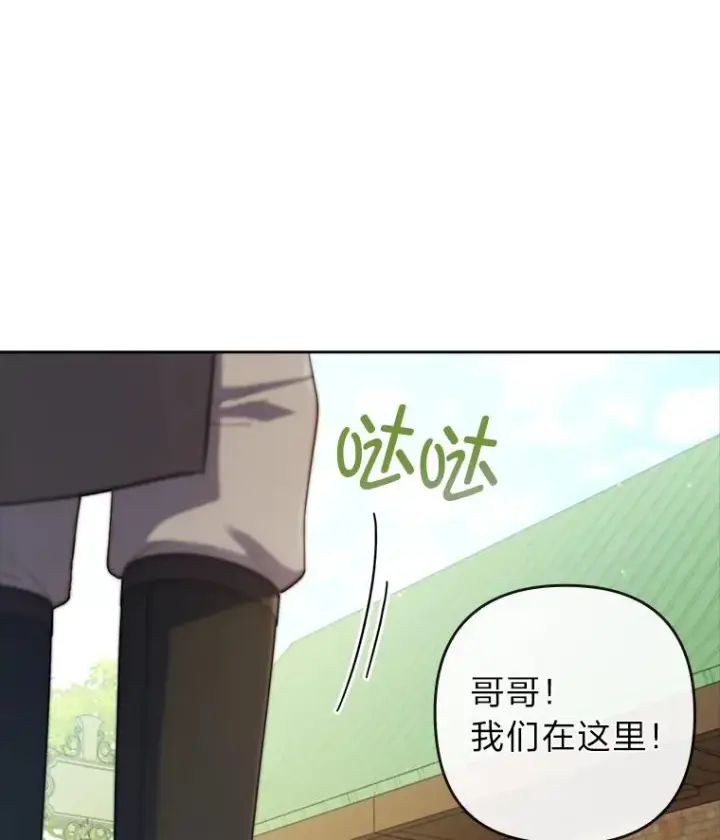 《勾引了病弱男主》55.健忘的动物图102