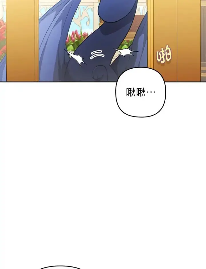 《勾引了病弱男主》55.健忘的动物图66
