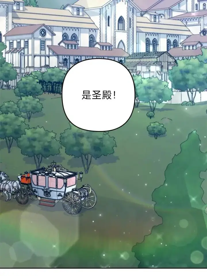 《勾引了病弱男主》8.一家人圣殿行图63