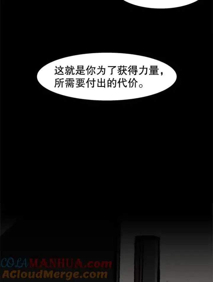 《孤雄升级》85.契约的代价图52